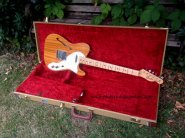 69thinline-3.jpg