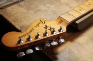 F.STRAT 1979 Ann-1.jpg