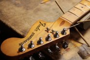 F.STRAT 1979 Ann-12.jpg
