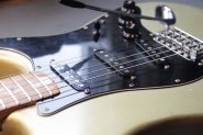 F.STRAT 1979 Ann-19.jpg