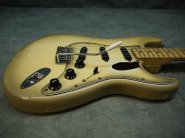 F.strat79 antiqua-2.jpg