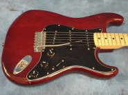 F.strat79-1.jpg