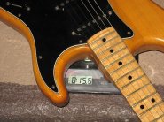 F.strat77 nat-6.jpg
