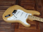 F.strat74nat-3.jpg
