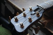 Warwick Thumb 6 -19.jpg
