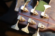 Warwick Thumb 6 -6.jpg