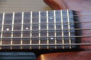 Warwick Thumb 6 -23.jpg