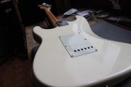 F.Strat Am. Standard-7.jpg