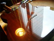 F.tele86 ROSEWOOD Japan-18.jpg