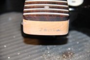 Squier MINI-12.jpg