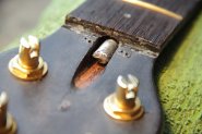 WARWICK THUMB NT6 TRUSSROAD-2.jpg