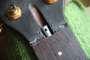 WARWICK THUMB NT6 TRUSSROAD-4.jpg