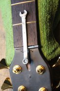 WARWICK THUMB NT6 TRUSSROAD-5.jpg