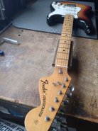 F.STRAT 1974-1.jpg