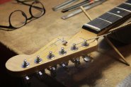 F.Strat Deluxe 2016-2.jpg