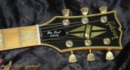 gibson-a LPC75mapleboard-5.jpg