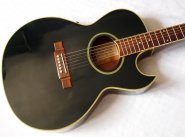 washburn-ea20-black.jpg