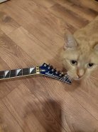 VideoCapture_20231027-171238.jpg