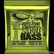 ernie_ball_2852.jpg