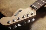 WARMOTH Stratocaster-1.jpg