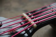 Barracuda Bass5-2.jpg