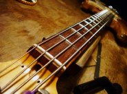Bass China-5.jpg