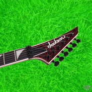 1-3-5-4-12-11 (1).jpg