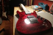 Schecter + Sustainiac-6.jpg