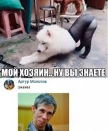300px-�����0.jpg