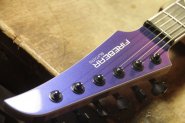 FireBear Guitars-3.jpg