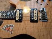 CARVIN USA-13.jpg