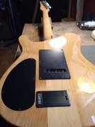 CARVIN USA-17.jpg