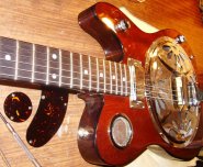 F.Tele Resonator-3.jpg