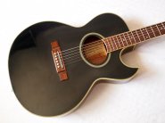 washburn-ea20-black.jpg