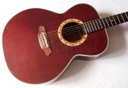 Takamine-PT507.jpg