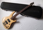 Washburn-xb900.jpg