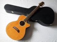 Takamine-PT108.jpg