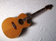 washburn-ea26.jpg