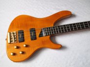 washburn-bass-KW1250.jpg