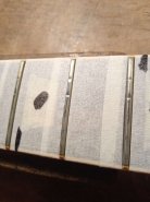 Gibson LP Standard 2001-3.jpg