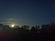 IMG_20250512_223453.jpg