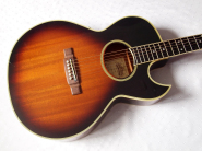washburn-ea20-tsb.jpg