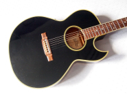 washburn-ea20-black-98.jpg