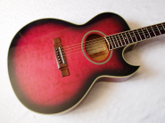 washburn-ea20-pink.jpg