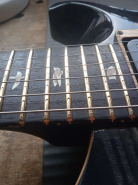 PRS CUSTOM 24-9.jpg