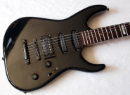 ESP-nontremolo-customorder.jpg