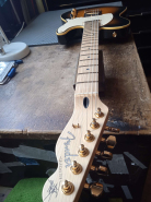 F.TELE RICHIE KOTZEN-7.jpg