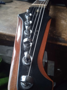 Gibson Firebird 2017-1.jpg