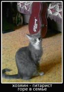 image (�����).jpg