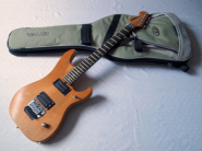 washburn-n4-nuno-USA.jpg